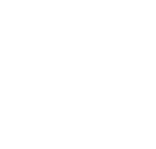 לוגו אורות 